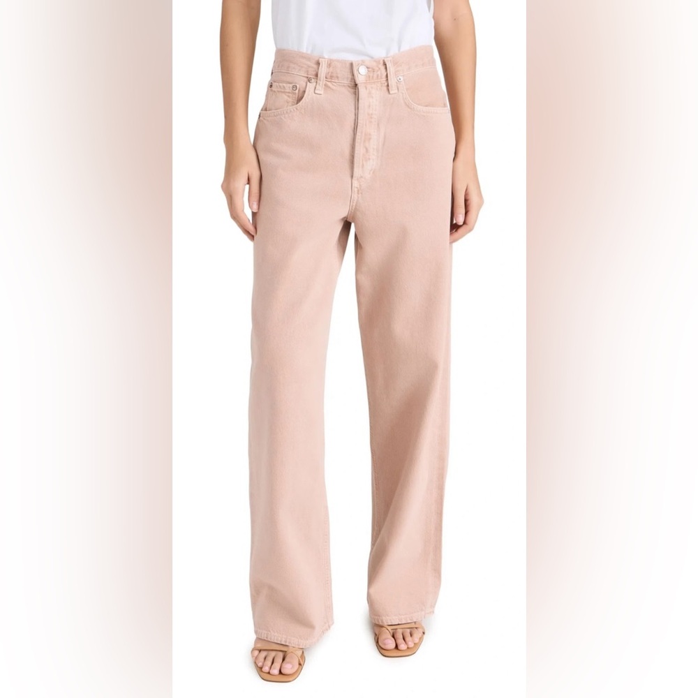 NWT Agolde Low Slung Baggy Button Fly Jeans